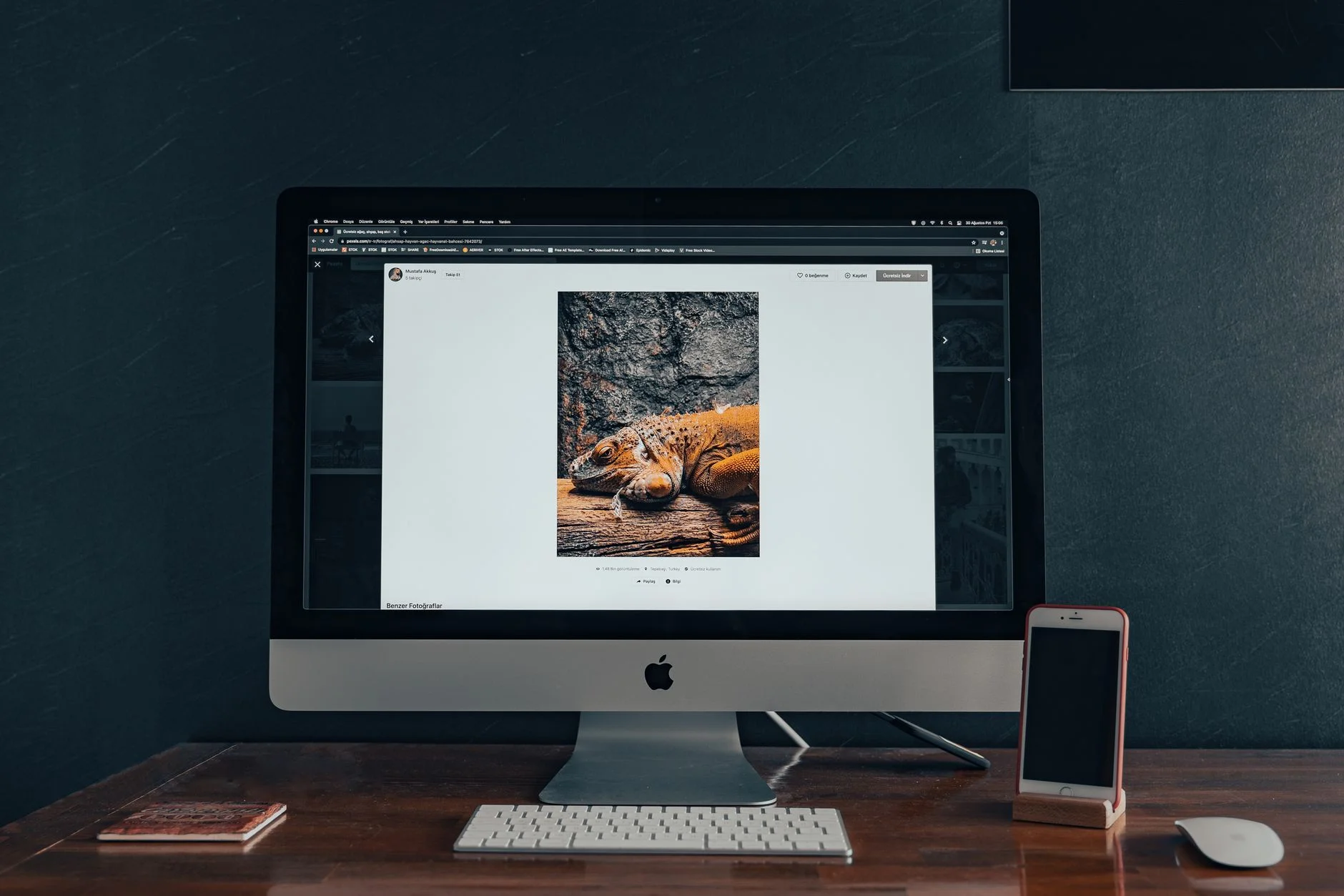 AI Software Development Services — What Businesses Actually Get