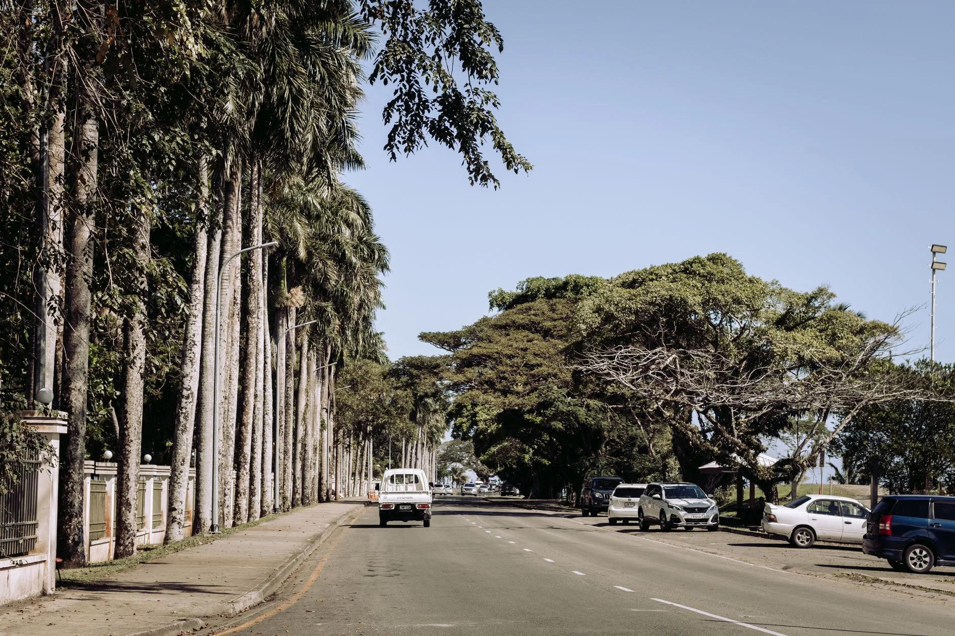 Building Attention and Trust with Video and Content Marketing in Fiji